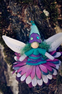 FairyFeb5