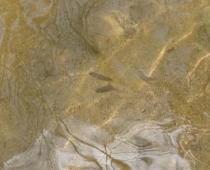 PXL_20230411_202654298