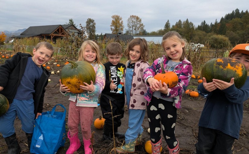 PXL_20251023_201136645