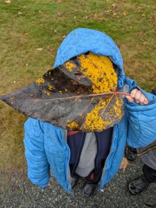 PXL_20251028_202202647