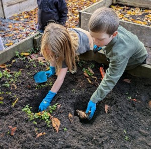 PXL_20251107_210847562