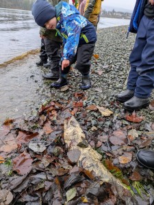 PXL_20251125_180515490