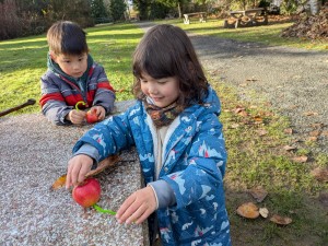 PXL_20251202_204948065