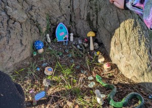 PXL_20260123_212823824