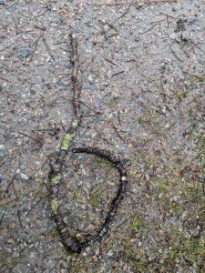 PXL_20260203_165053234