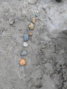 PXL_20260203_192907413