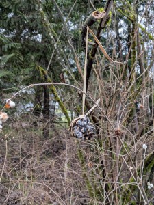 PXL_20260203_204508074