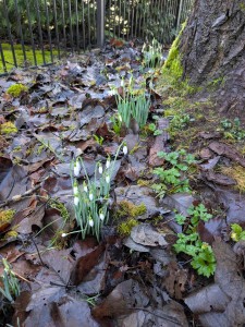 PXL_20260210_165046531