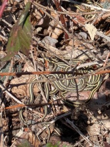 PXL_20260224_201119346