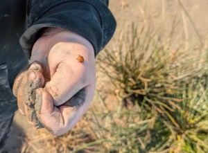 PXL_20260302_193653835