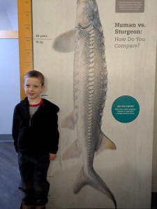 PXL_20260401_173538278