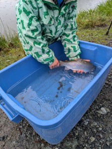 PXL_20260401_192811384