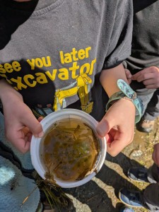 PXL_20260407_183528996